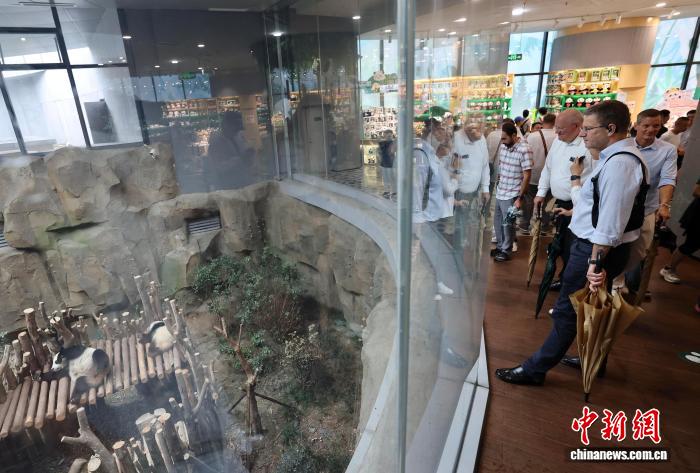 成都世运会, 口约